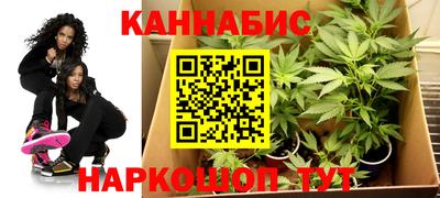 jwh Будённовск